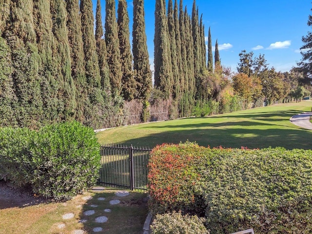 view of community featuring a yard