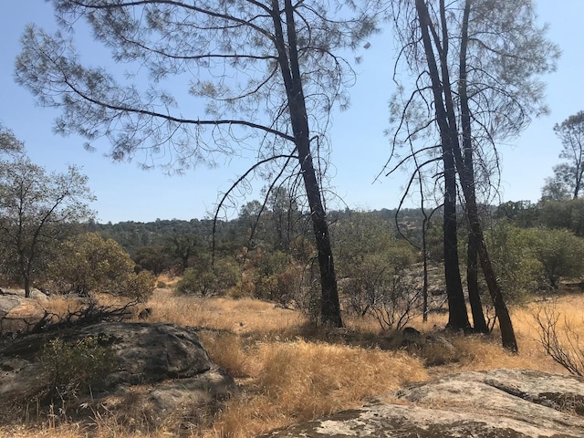 0 Lucian Dr, Coarsegold CA, 93614 land for sale