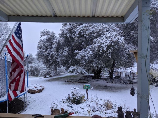 view of yard covered in snow