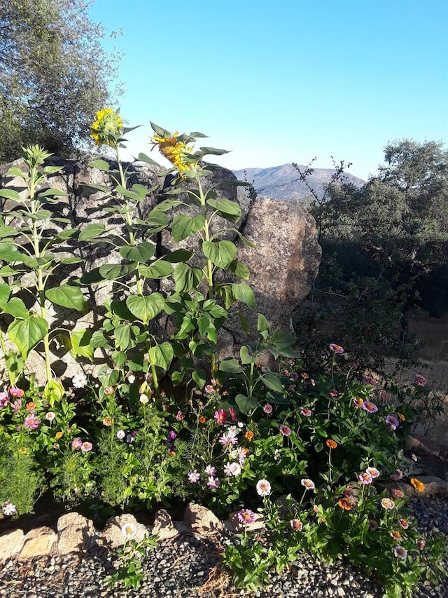 exterior space featuring a mountain view