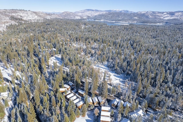 bird's eye view with a mountain view