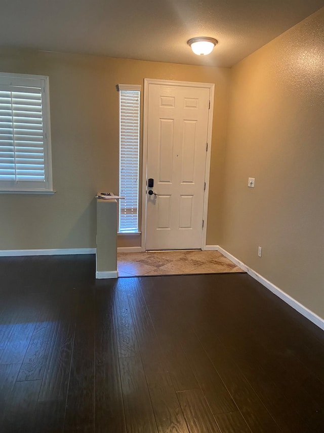 entrance foyer with dark wood-type flooring