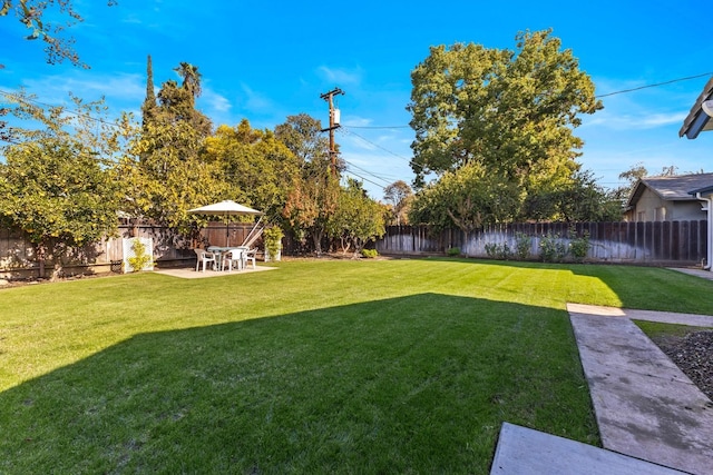 view of yard featuring a patio area