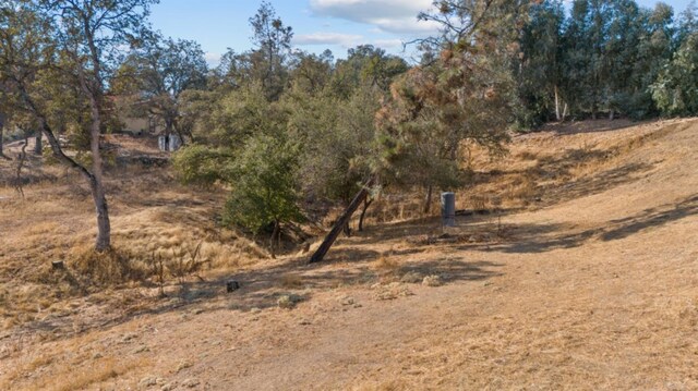 view of local wilderness