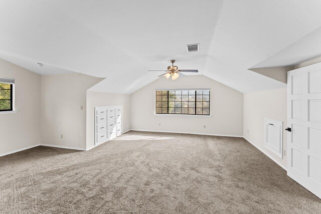 bonus room with carpet flooring, lofted ceiling, and a healthy amount of sunlight