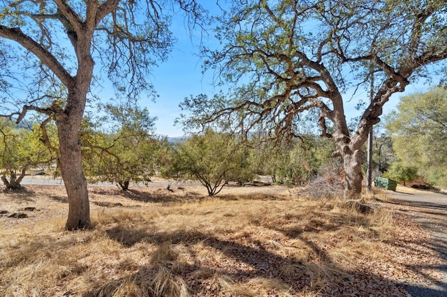 view of landscape