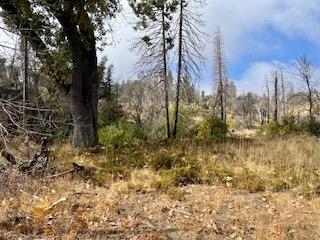 34329 Shaver Springs Rd, Auberry CA, 93602 land for sale