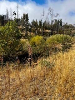 Listing photo 3 for 34329 Shaver Springs Rd, Auberry CA 93602