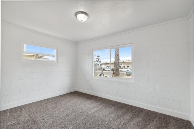 spare room with plenty of natural light, carpet floors, and crown molding