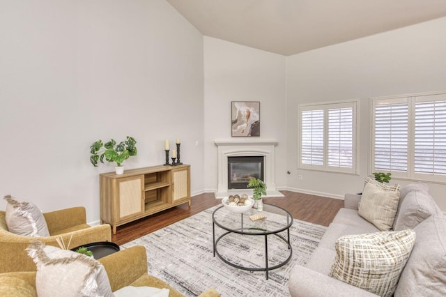 living room with hardwood / wood-style flooring