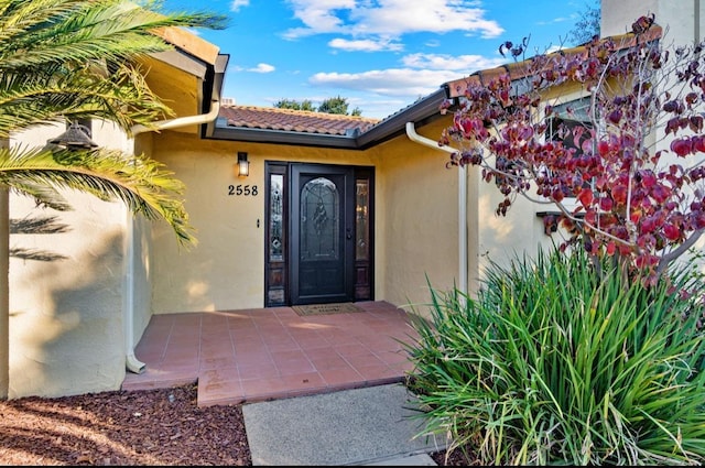 view of exterior entry with a patio and stucco siding