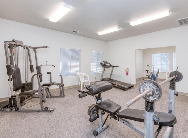 workout area with carpet