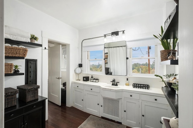 bathroom with vanity and wood-type flooring