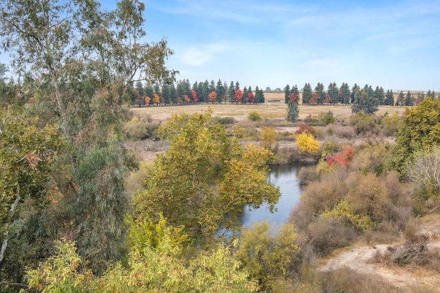 aerial view with a water view and a rural view