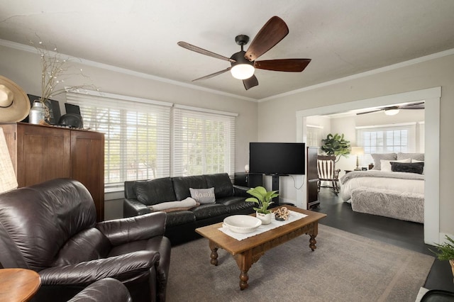 living room featuring ceiling fan and ornamental molding