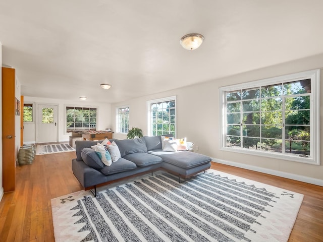 living room featuring hardwood / wood-style floors