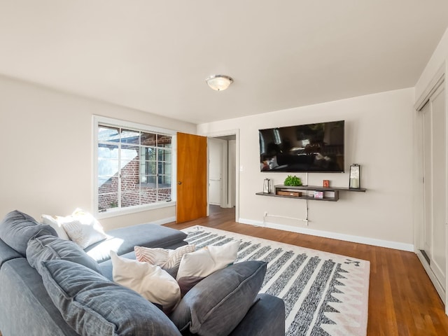 living room featuring dark wood-type flooring