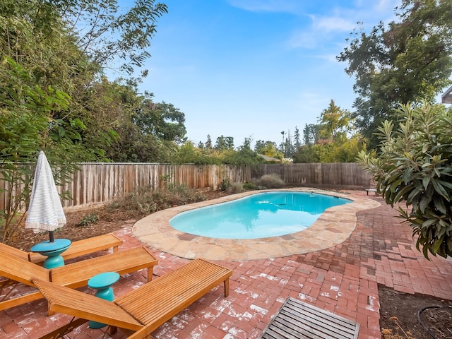 view of pool with a patio