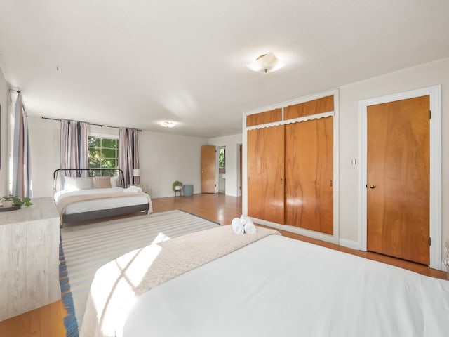 bedroom featuring hardwood / wood-style flooring and a closet