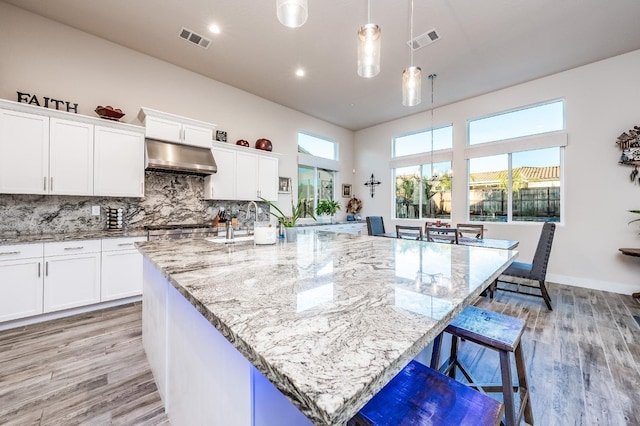 kitchen featuring backsplash, a sink, visible vents, and under cabinet range hood