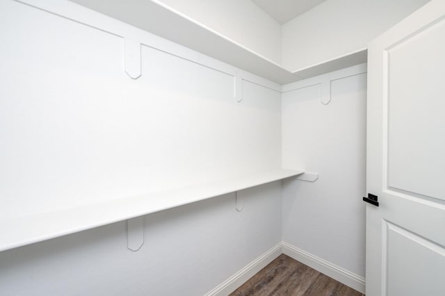 spacious closet featuring dark hardwood / wood-style flooring