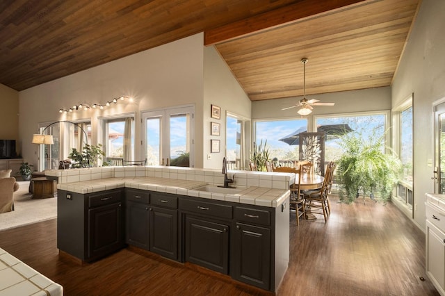 kitchen featuring tile counters, sink, a wealth of natural light, and dark wood-type flooring