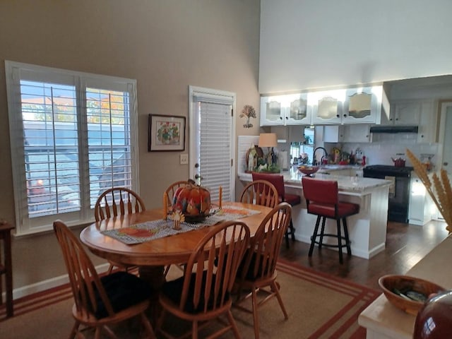 dining area featuring dark hardwood / wood-style flooring, plenty of natural light, and sink