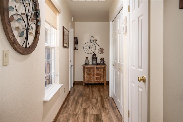 hallway with dark wood-type flooring