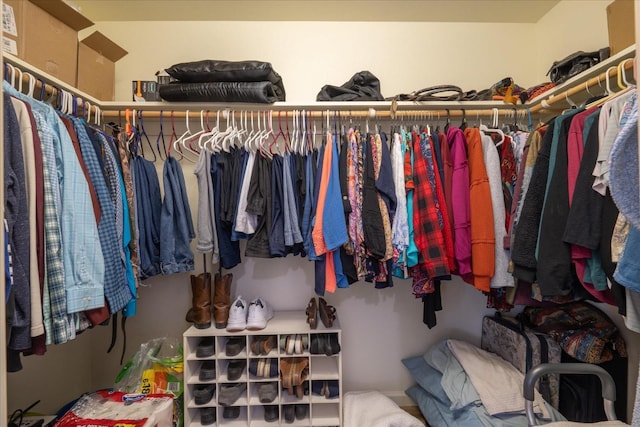 view of spacious closet