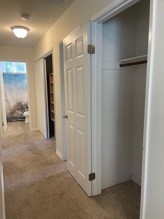 corridor with light colored carpet