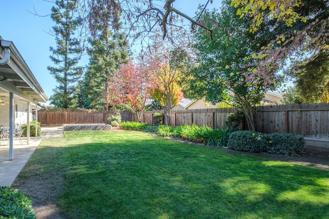 view of yard with a patio area