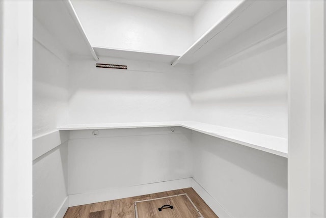 walk in closet with hardwood / wood-style floors