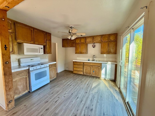 kitchen featuring ceiling fan, sink, light hardwood / wood-style flooring, and white appliances