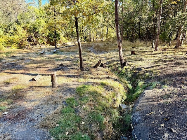 view of local wilderness