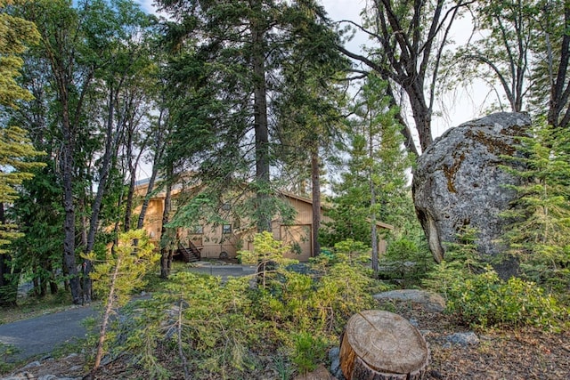 52180 Chahlip Ln, Shaver Lake, CA 93664 - view of yard