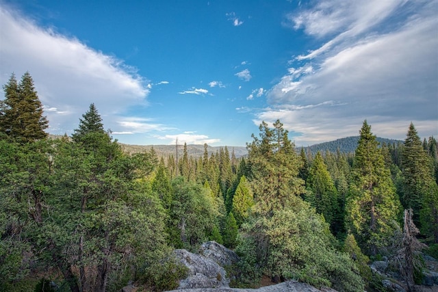 view of landscape