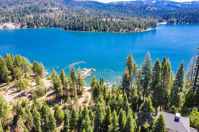 birds eye view of property featuring a wooded view and a water and mountain view