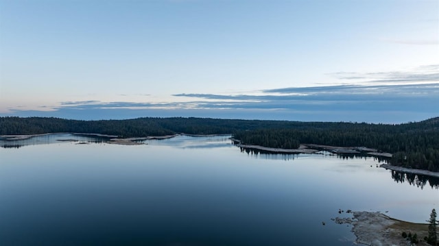 water view with a forest view