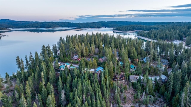 bird's eye view featuring a forest view and a water view