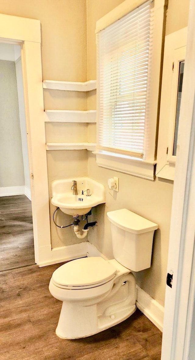 bathroom with toilet and hardwood / wood-style flooring