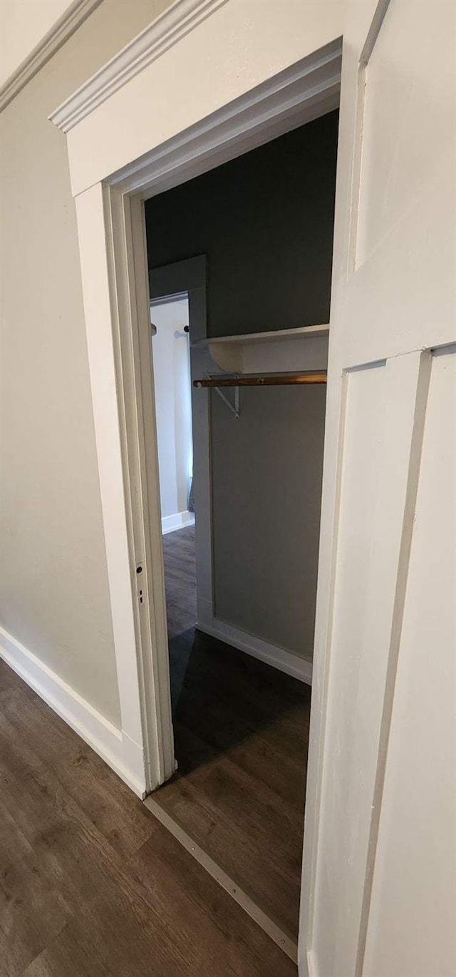 view of closet