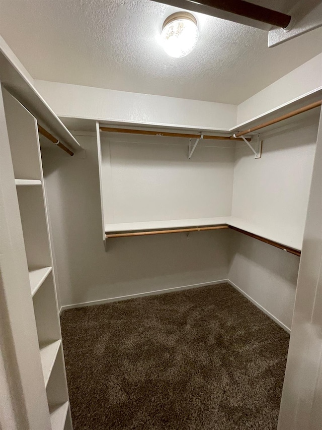 spacious closet featuring carpet flooring