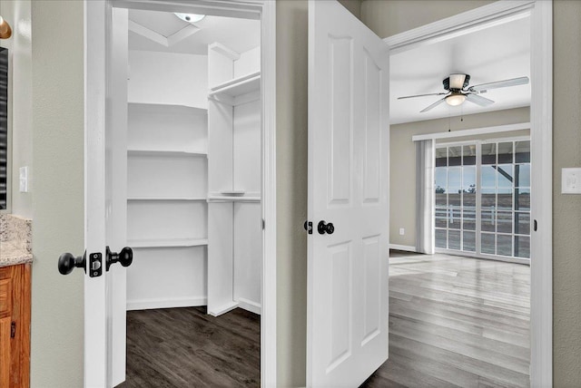 walk in closet with ceiling fan and hardwood / wood-style floors