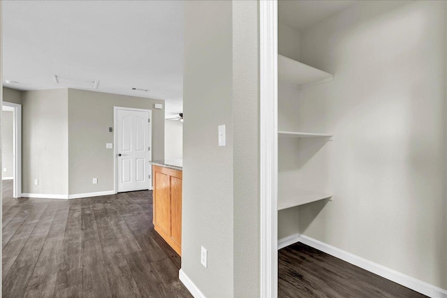 hall with dark hardwood / wood-style floors