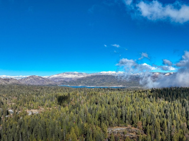 property view of mountains