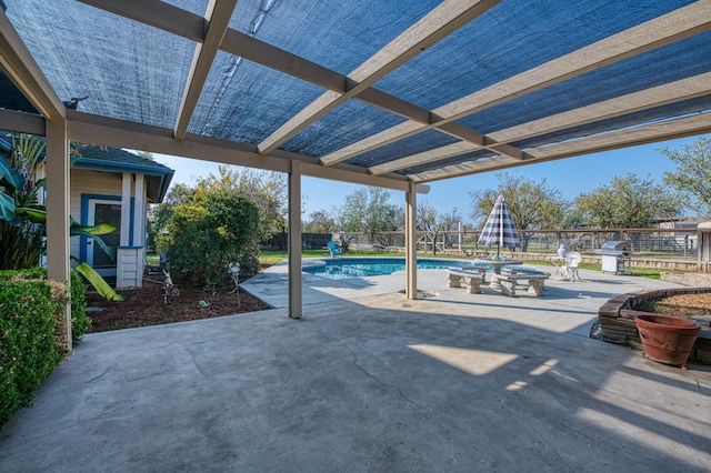 view of swimming pool with a patio area and grilling area