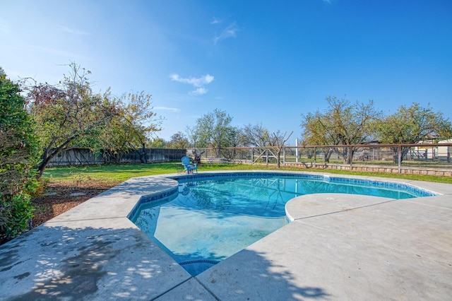 view of swimming pool featuring a yard and a patio