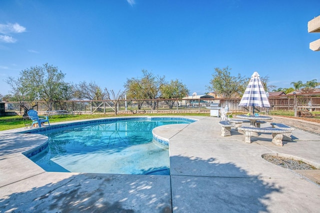 view of swimming pool featuring a patio