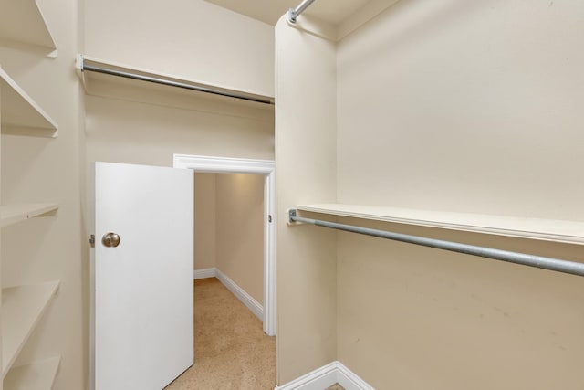 walk in closet with light carpet