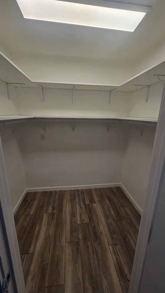 spacious closet featuring dark hardwood / wood-style flooring